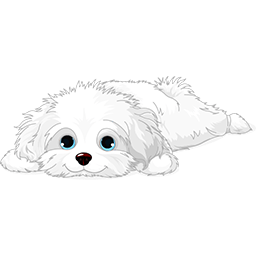 Teacup Pets Home